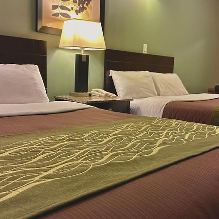 Lacombe Motor Inn Eksteriør billede